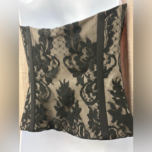 TEMPERLEY LONDON “Amy Winehouse” Black Lace & Mushroom Silk Corset Bustier US 4 - Picture 7 of 16